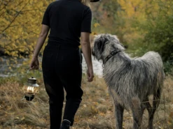 Barebones Railroad Lantern - Olive -Outdoor Kampeerartikelen Winkel 3352591 819665012811 5